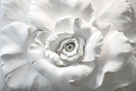 Tapet Personalizat 3D cu o floare din ipsos alb in relief - 3D PLASTER ROSE