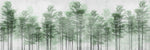 Tapet Personalizat Forest cu padure de bambus verde - BAMBOO TREES