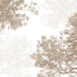 Tapet Personalizat Forest cu padure de foioase in nuante de bej - BROWN CONIFEROUS