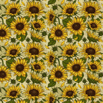 Tapet personalizat - SUNFLOWER FIELD