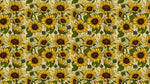 Tapet personalizat - SUNFLOWER FIELD