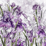 Tapet Personalizat Floral cu irisi mov pe un fundal cu efect de plaster - PURPLE IRISES