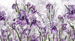 Tapet Personalizat Floral cu irisi mov pe un fundal cu efect de plaster - PURPLE IRISES