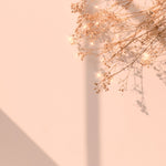 Fototapet Personalizat Floral cu floarea miresei stralucitoare si fundal roz de apus - SHINY GYPSOPHILA