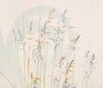 Fototapet Personalizat Floral cu fire de grau si perete decorativ - GRASS PHOTOGRAPHY