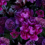 Fototapet Personalizat Floral cu bujori roz vibrant - PINK VIVID PEONIES