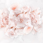 Fototapet Personalizat Floral cu trandafiri roz - WATERDROP ROSES