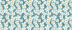 Tapet personalizat - CARTOON DAISIES