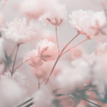 Fototapet Personalizat Floral cu foarea miresei roz - BLURRY PINK