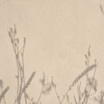 Fototapet Personalizat Floral cu umbre de plante pe un perete in stil plaster - GENTLE SHADOWS