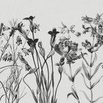 Tapet Personalizat Floral cu flori alb negru si fundal texturat - CONTRAST WILDFLOWERS