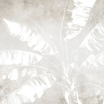 Tapet personalizat leaf cu frunze de bananier albe pe un fundal bej minimalist white banana leaves