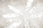 Tapet personalizat leaf cu frunze de bananier albe pe un fundal bej minimalist white banana leaves