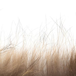 Fototapet personalizat leaf cu frunze si iarba de pampas uscata in tonuri naturale de bej si maro oferind un aspect delicat si boem dry nature