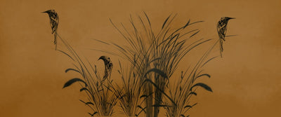 tapet personalizat leaf cu frunze cu un design minimalist infatisand pasari stilizate printre fire de trestie pe un fundal maro inchis creand o imagine eleganta bird reed dark