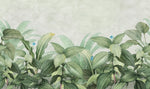 Tapet personalizat leaf cu frunze si vegetatie tropicala luxurianta frunze mari verzi si flori delicate pe un fundal deschis ideal pentru o camera luminoasa tropical wide