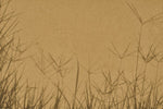 Fototapet personalizat leaf cu umbre de iarba proiectate pe un fundal nisipiu creand un efect vizual interesant si minimalist ideal pentru spatii moderne grass shadows