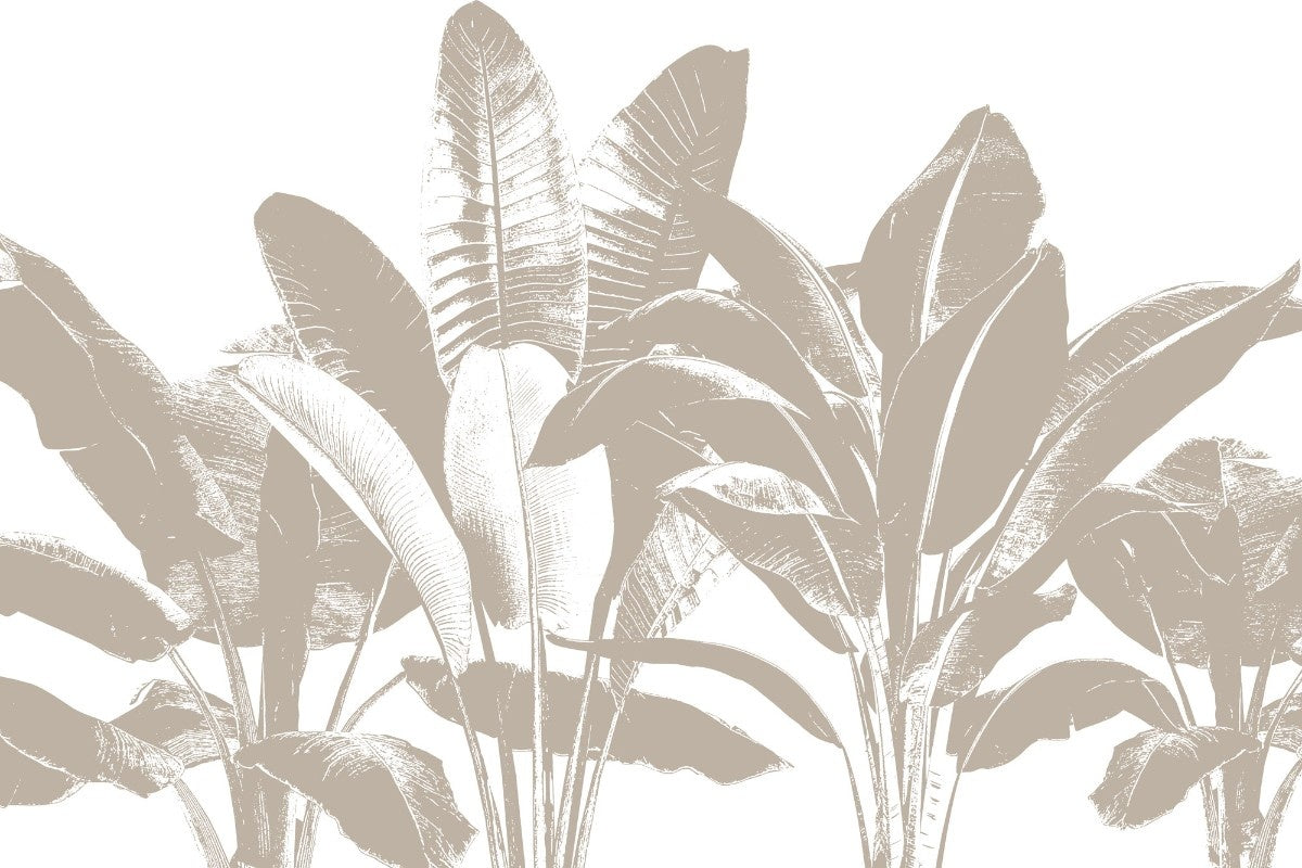tapet personalizat leaf cu frunze mari de banane in tonuri de bej pe un fundal alb pentru un design tropical minimalist si luminos beige banana leaves