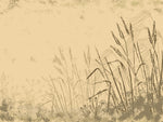 Tapet Personalizat Leaf cu frunze si plante de camp abstracte in nuante de bej si crem 1 - SKETCHY REEDS