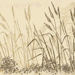 Tapet Personalizat Leaf cu frunze si plante de camp abstracte in nuante de bej si crem 2 - LANDSCAPE REEDS