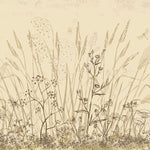 Tapet Personalizat Leaf cu frunze si plante de camp abstracte in nuante de bej si crem 3 - BEIGE FLORAL SKETCH