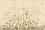 Tapet Personalizat Leaf cu frunze si plante de camp abstracte in nuante de bej si crem 3 - BEIGE FLORAL SKETCH