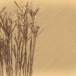 Tapet Personalizat Leaf cu frunze uscate vintage - VINTAGE GRASS