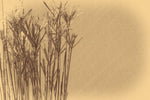 Tapet Personalizat Leaf cu frunze uscate vintage - VINTAGE GRASS