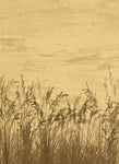 Tapet Personalizat Leaf cu stufaris uscat in stil vintage - WILD WEST REEDS
