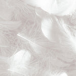 Tapet Personalizat Leaf cu pene in nuante de gri - LIGHT GREY FEATHERS