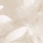 Tapet Personalizat Leaf cu pene in nuante crem si bej - LIGHT BEIGE FEATHERS