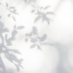 Tapet Personalizat Leaf cu umbre de frunze pe perete alb texturat - LEAFY SILHOUETTE