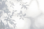 Tapet Personalizat Leaf cu umbre de frunze pe perete alb texturat - LEAFY SILHOUETTE