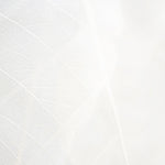 Fototapet Personalizat Leaf cu frunza decorativa alba cu fundal estompat - THIN WHITE LEAF