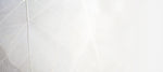 Fototapet Personalizat Leaf cu frunza decorativa alba cu fundal estompat - THIN WHITE LEAF