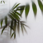 Tapet Personalizat Leaf cu frunze de palmier in spatele perdelei - BEHIND THE DRAPES