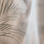 Tapet Personalizat Leaf cu frunza de palmier difuza in fundal rozaliu - SOFT VEIL LEAF I