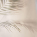 Tapet Personalizat Leaf cu frunza de palmier difuza in fundal rozaliu - SOFT VEIL LEAF II