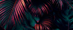 Tapet Personalizat Leaf cu frunze de palmier roz si verde inchis - MYSTIQUE PINK