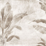 Tapet Personalizat Leaf cu frunze de bananier sepia - WALL BANANA TREE