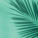 Tapet Personalizat Leaf cu umbra de frunza de palmier pe un fundal verde marin - MINTY PALM