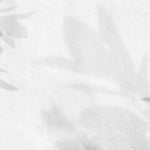 Tapet Personalizat Leaf cu umbre de frunze pe un perete alb texturat - STUCCO SHADOWS