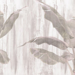 Tapet Personalizat Leaf cu bananieri intr-un fundal gri texturat - PINKY BANANA TREES