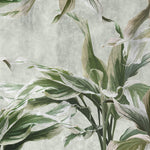 Tapet Personalizat Leaf cu plante verzi pe un fundal gri texturat - GREEN DRACAENA