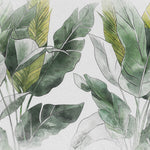 Tapet Personalizat Leaf cu frunze verzi tropicale pe un fundal alb texturat - TROPICAL FADE