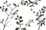 Tapet Personalizat Leaf cu frunze de stejar in alb negru - OAK MINIMALIST LEAVES