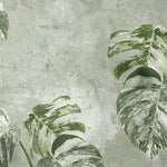 Tapet Personalizat Leaf cu frunze verzi de monstera pe un fundal texturat - WHITE MONSTERA WALL