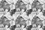 Tapet personalizat - B&W TROPICAL
