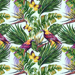 Tapet personalizat - BUTTERFLIES & BIRDS OF PARADISE