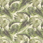 Tapet personalizat - MONSTERA BELMORE